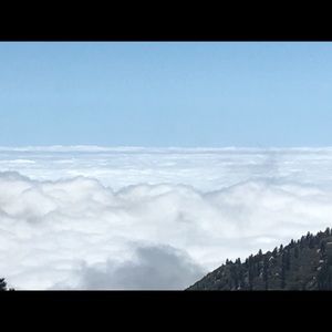 Meet your Posher, Austin